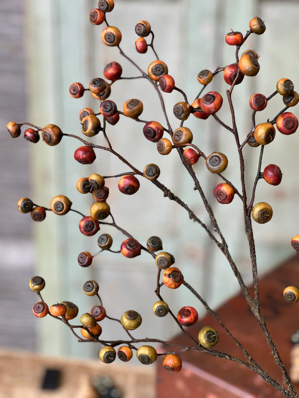 36' Riddle Berry Stem