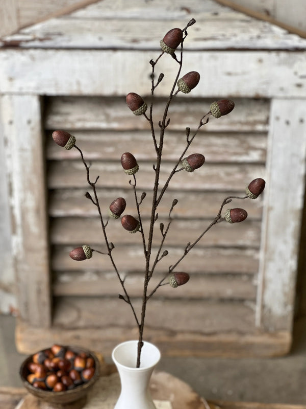 41' Oakview Acorn Spray