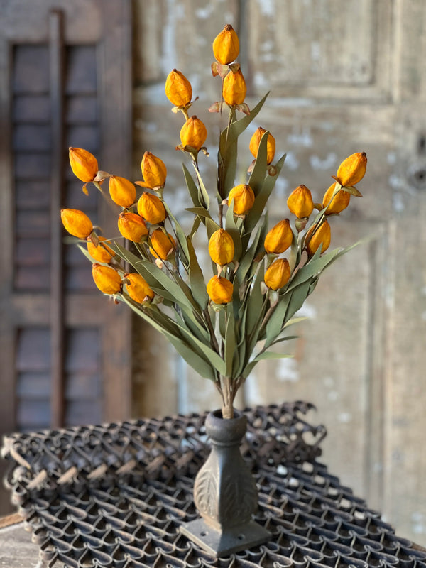 23' Beacon Spray - Saffron