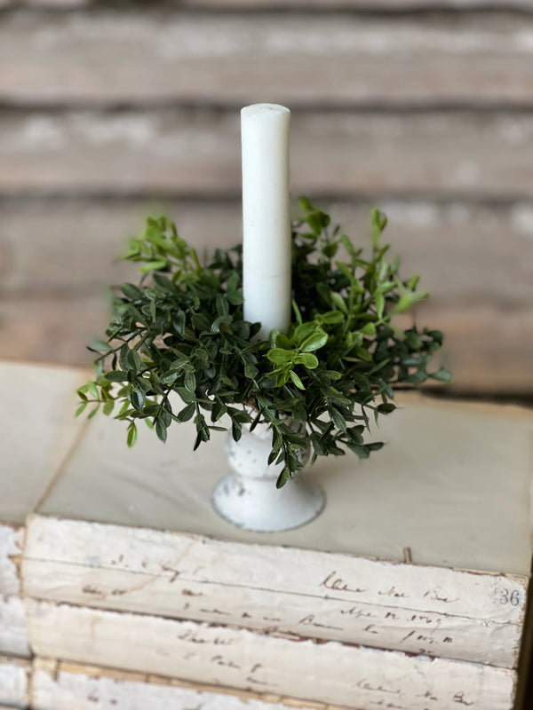 5' New England Boxwood Taper Candle Ring